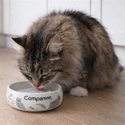 Keramikskål till katt